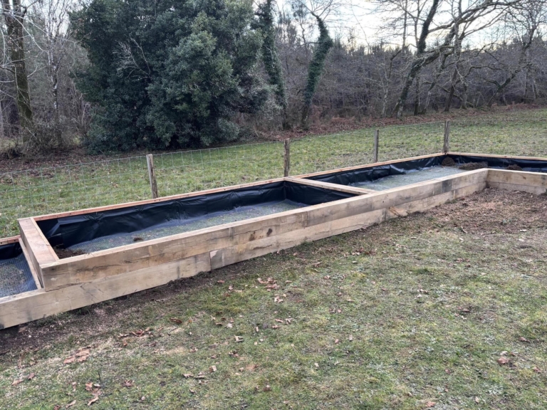 création de bacs botaniques paysagiste landes 5