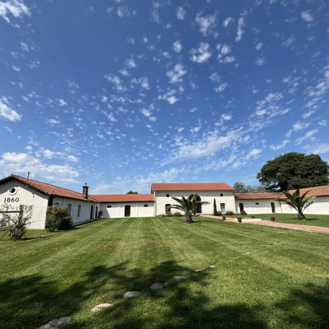 pierre feuille terreau jardinier paysagiste elagueur 4