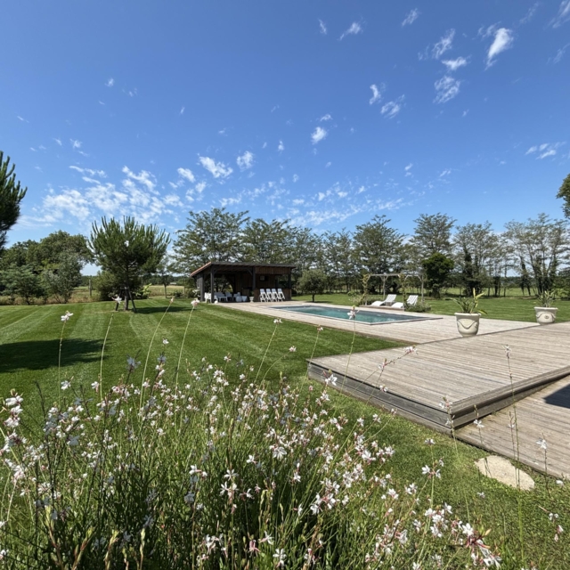 pierre feuille terreau jardinier paysagiste elagueur 5