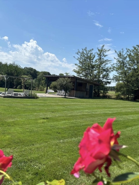 pierre feuille terreau jardinier paysagiste elagueur 10