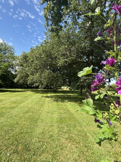 pierre feuille terreau jardinier paysagiste elagueur 12