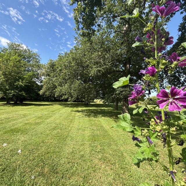 pierre feuille terreau jardinier paysagiste elagueur 12