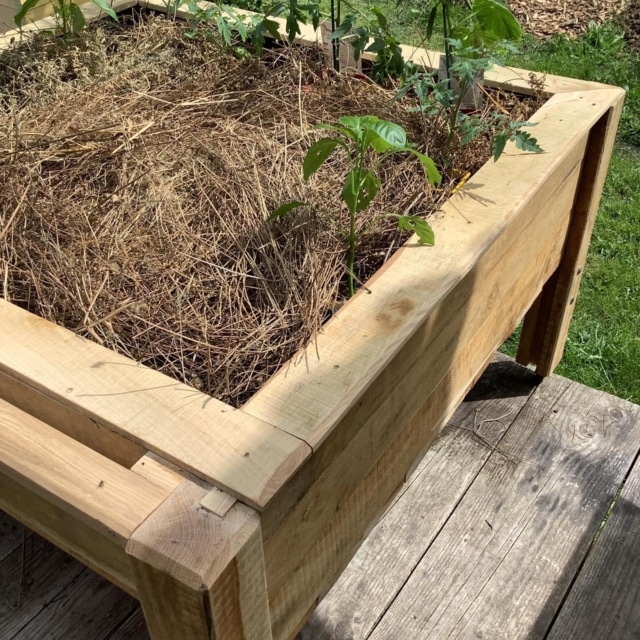 pierre feuille terreau jardinier paysagiste elagueur 14