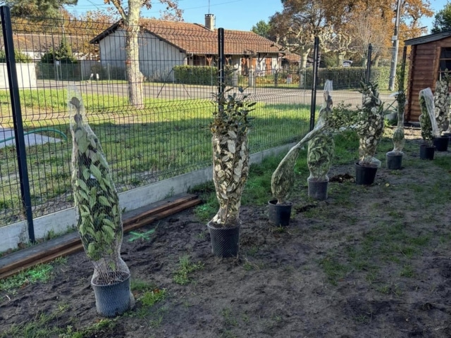 pierre feuille terreau jardinier paysagiste elagueur 17