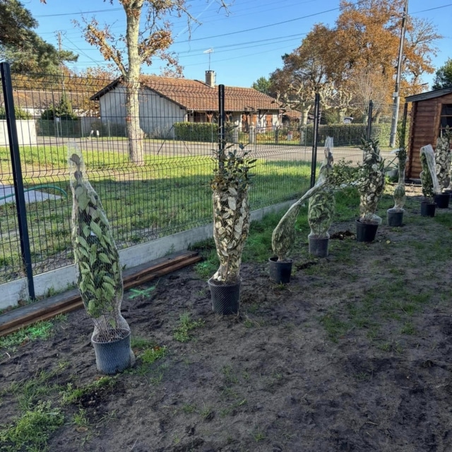 pierre feuille terreau jardinier paysagiste elagueur 17