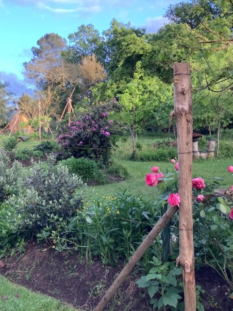 pierre feuille terreau jardinier paysagiste elagueur 22