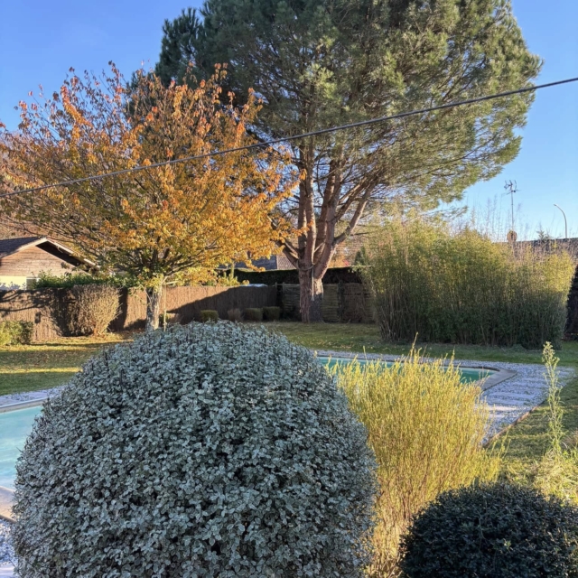 pierre feuille terreau jardinier paysagiste elagueur 40