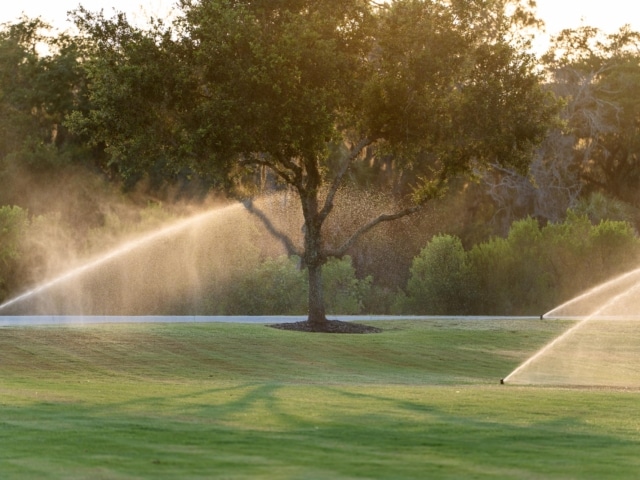 pierre feuille terreau jardinier arrosage automatique