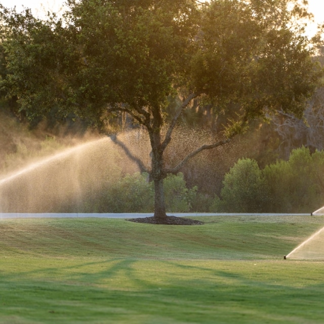 pierre feuille terreau jardinier arrosage automatique