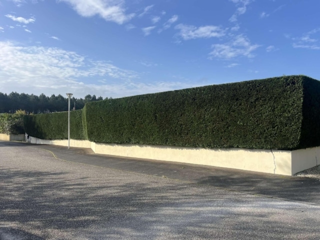 pierre feuille terreau jardinier paysagiste elagueur 107