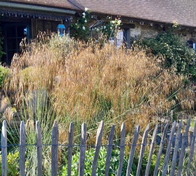 pierre feuille terreau jardinier paysagiste elagueur 111