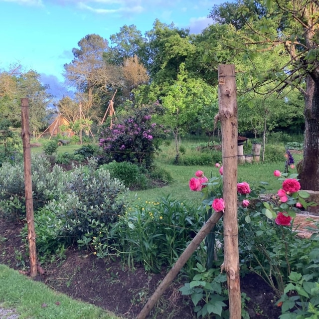 pierre feuille terreau jardinier paysagiste elagueur 22