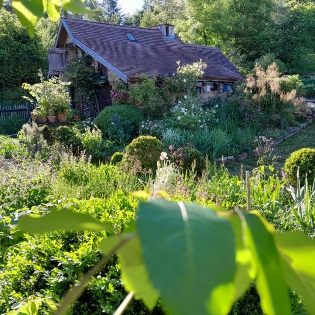pierre feuille terreau jardinier paysagiste elagueur 54