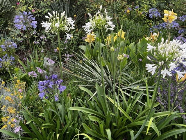 pierre feuille terreau jardinier paysagiste elagueur 71