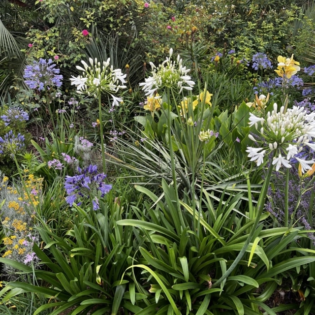 pierre feuille terreau jardinier paysagiste elagueur 71