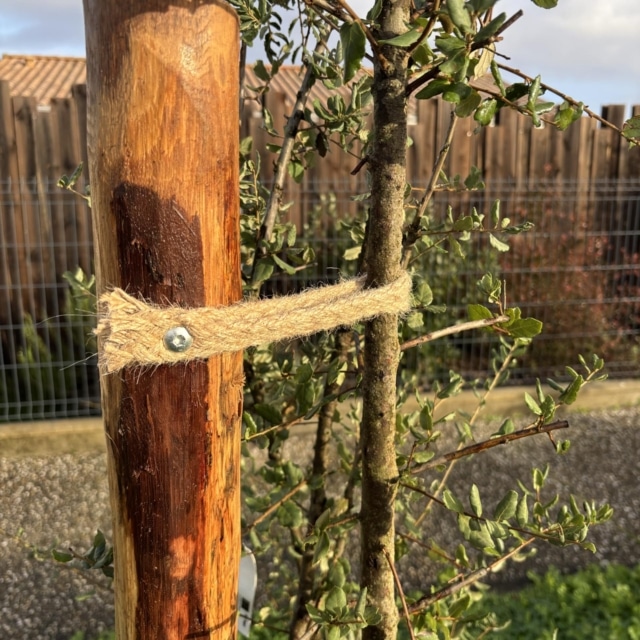 pierre feuille terreau jardinier paysagiste elagueur 92