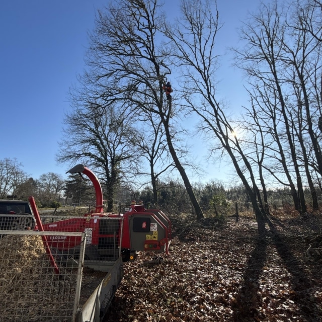 pierre feuille terreau jardinier paysagiste elagueur 94